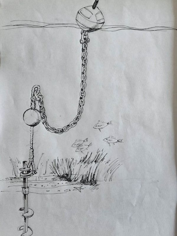 Teo_Baucic.jpg